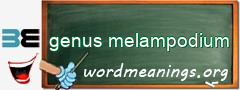WordMeaning blackboard for genus melampodium